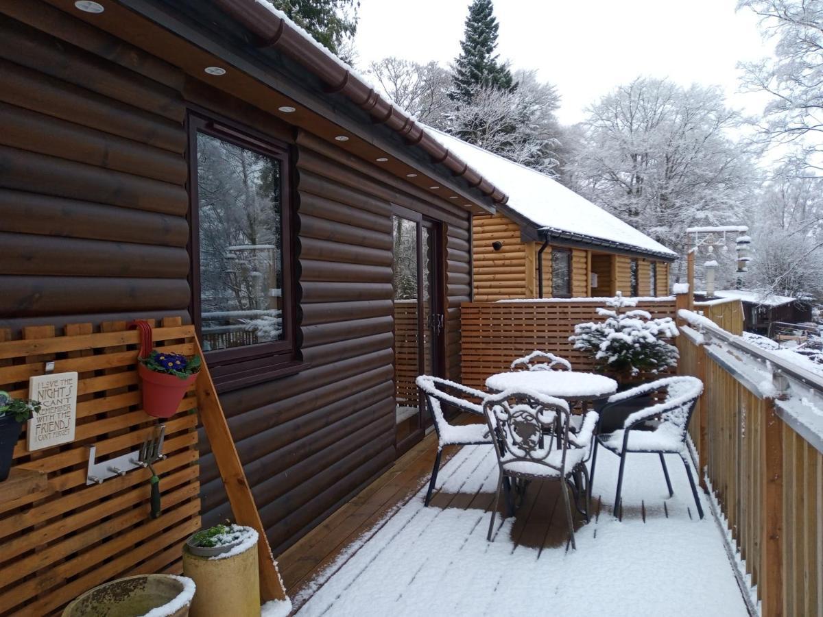 Charming Lodge Cosy Comfortable Ideal Location Blairgowrie and Rattray Kültér fotó